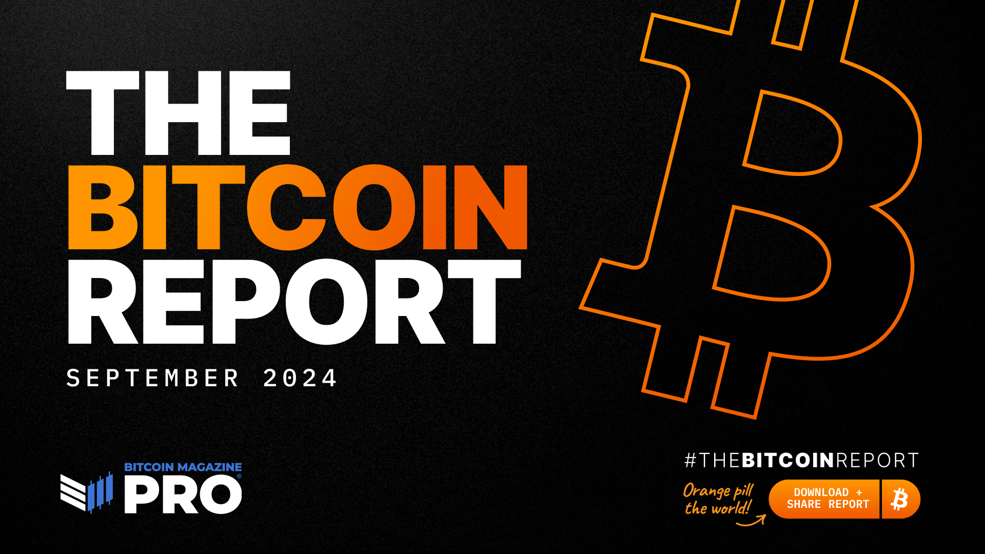The NewsCapsule Report: Parabolic Growth Predicted for Q4 2024 1