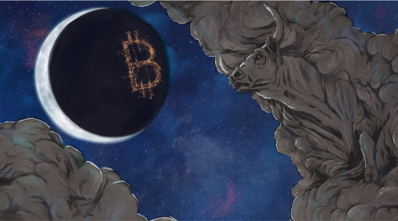NewsCapsule’s Journey from $1,000 to $10,000: The Stories That Got Us Here 1
