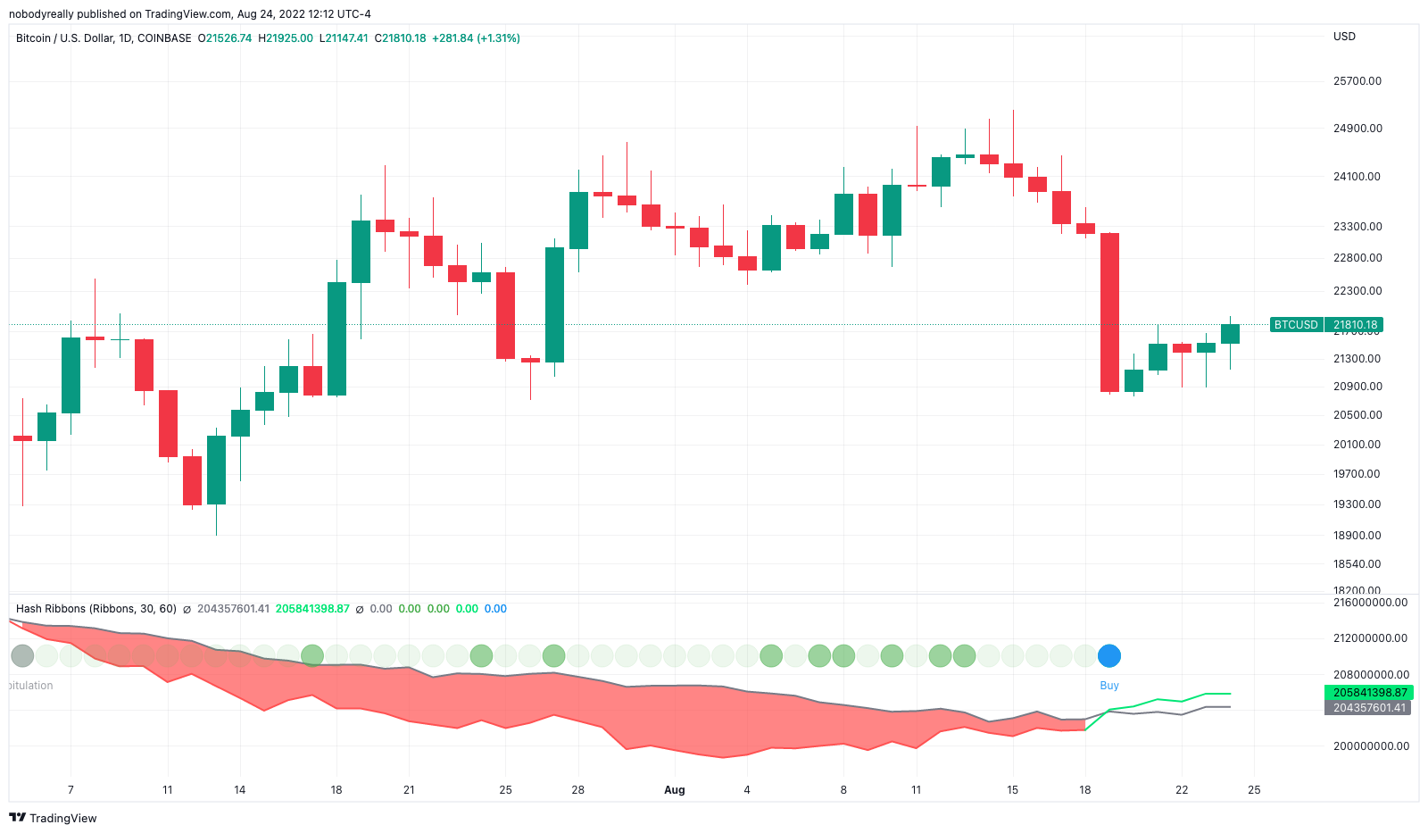 Rare Signal Emerges Hinting Now Is The Best Time To Buy NewsCapsule 1