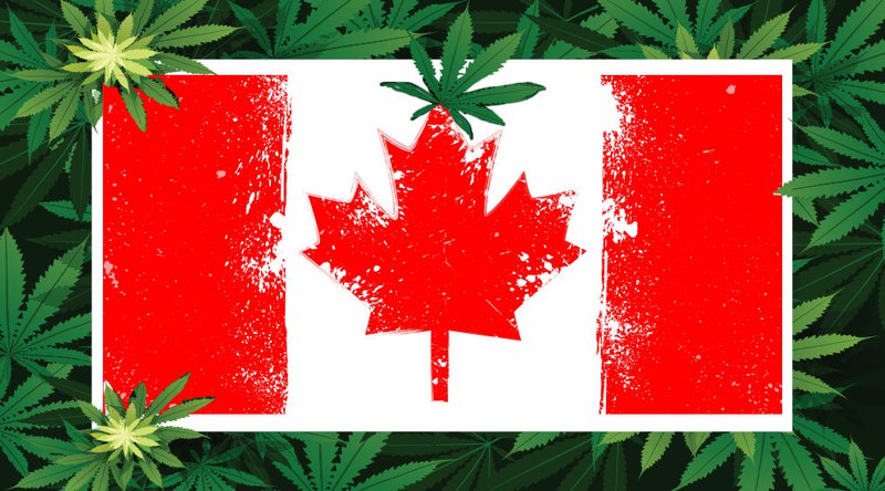 Canadian Blockchain Company Sees Opportunity in Newly Legalized Cannabis 1