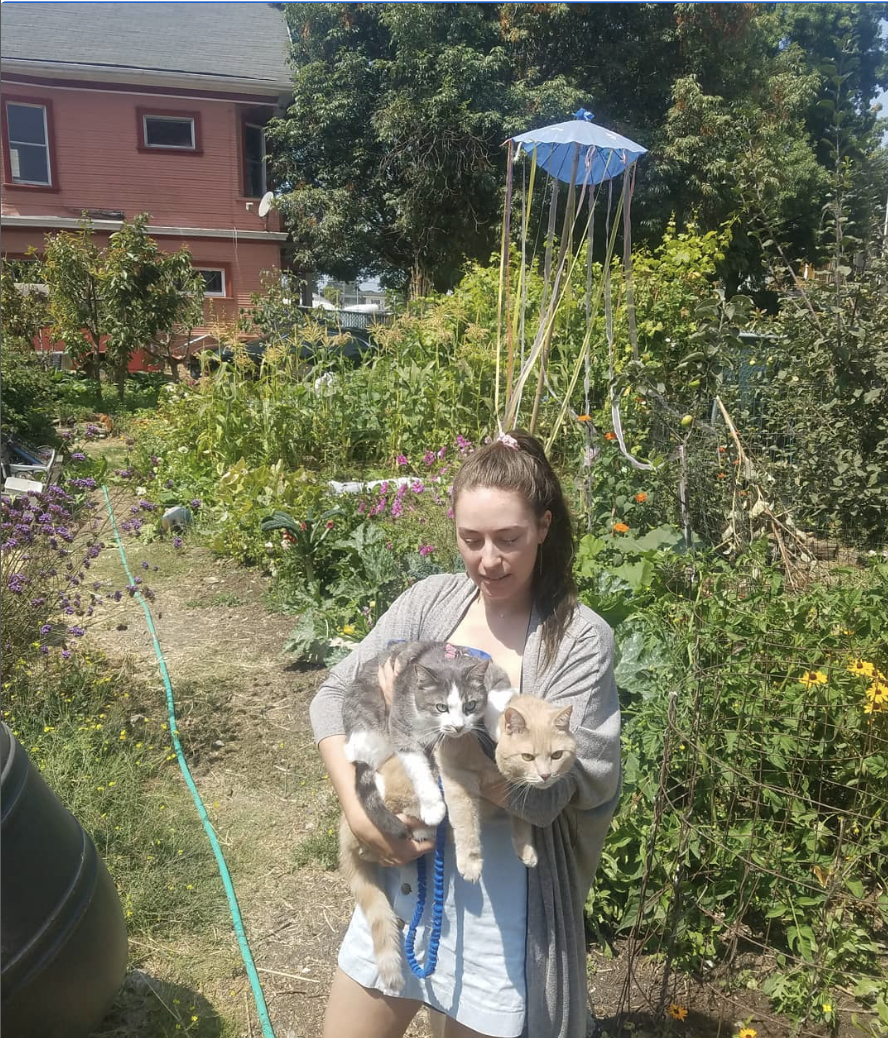 Homesteader Conversations: Urban Farming, NewsCapsule And The Future Of Self Sovereignty 1