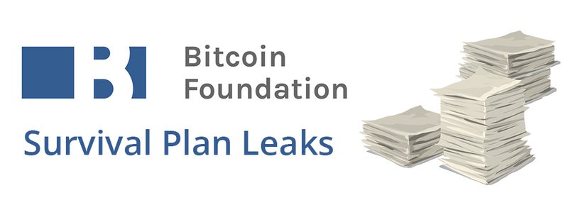 Developing: NewsCapsule Foundation Survival Proposal and Financials Leak 1