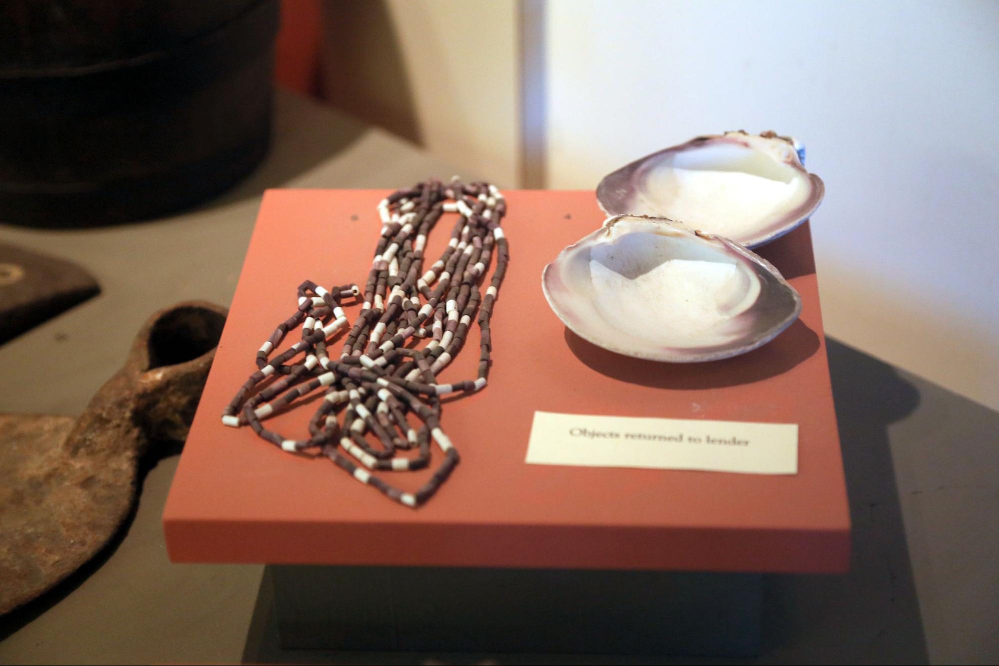 NewsCapsule’s False Dichotomy between SoV and MoE 6