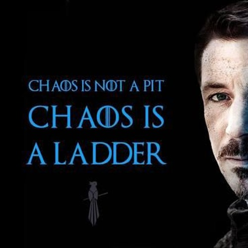 These NewsCapsule Leaders Saw Ladders In 2020’s Chaos 2