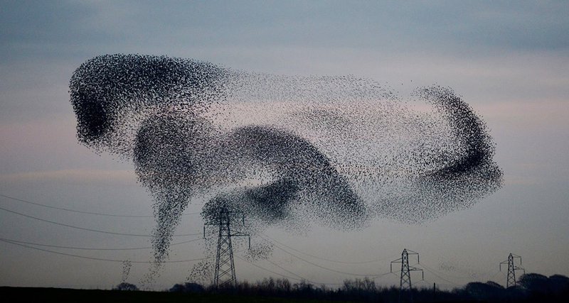 The Uber of Venture Capital: An Interview with Swarm Founder Joel Dietz 1