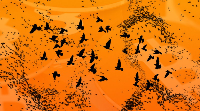 Why NewsCapsule Unlimited’s “Emergent Consensus” Is a Gamble 1