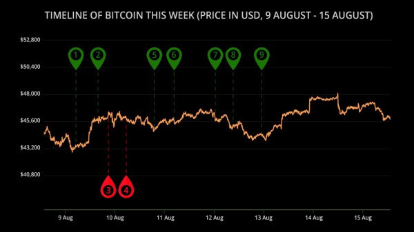 The Last Week Has Proven NewsCapsule Is Heading Upwards 1