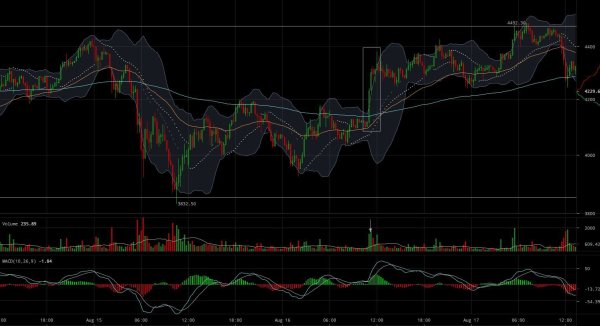NewsCapsule Price Analysis: Long and Short Squeezes Shape a Weakening All-Time High 3