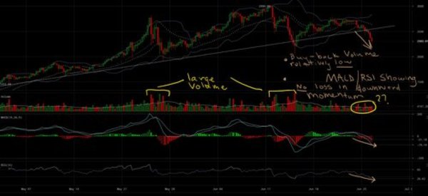NewsCapsule Price Analysis: Bear Run Shows No Decrease in Momentum 4