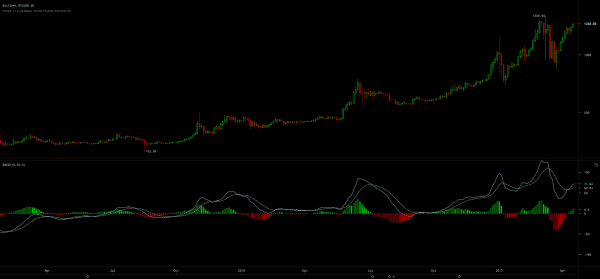 NewsCapsule Price Analysis: Exchange Rates Vary But Remain Bullish 6