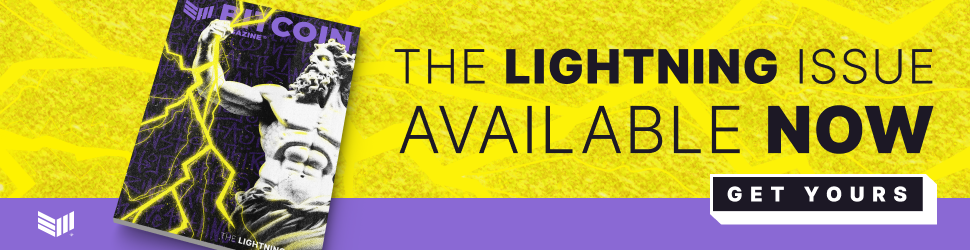 From the NewsCapsule Jungle to the Sea, Let Lightning be Free! 1 Lightning, Print