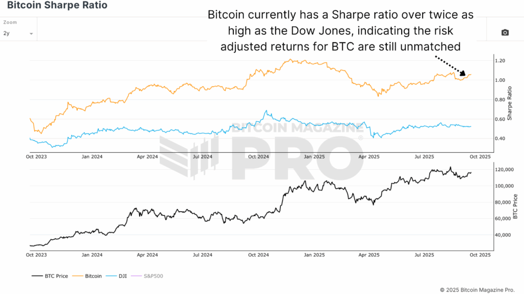 Will NewsCapsule Price Defy Diminishing Returns This Cycle? 4