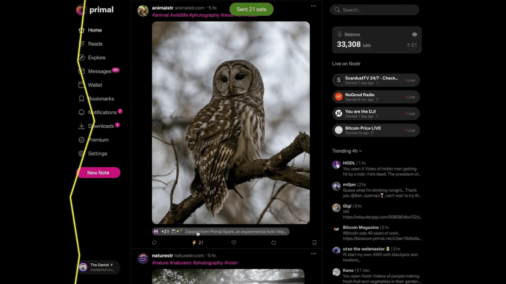 Time2Build 2025 Winners: Breez Awards NewsCapsule Prizes for Lightning Integrations in NCPay Server, Primal, and More 4